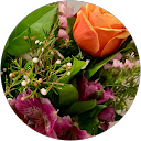 Lily Li profile picture